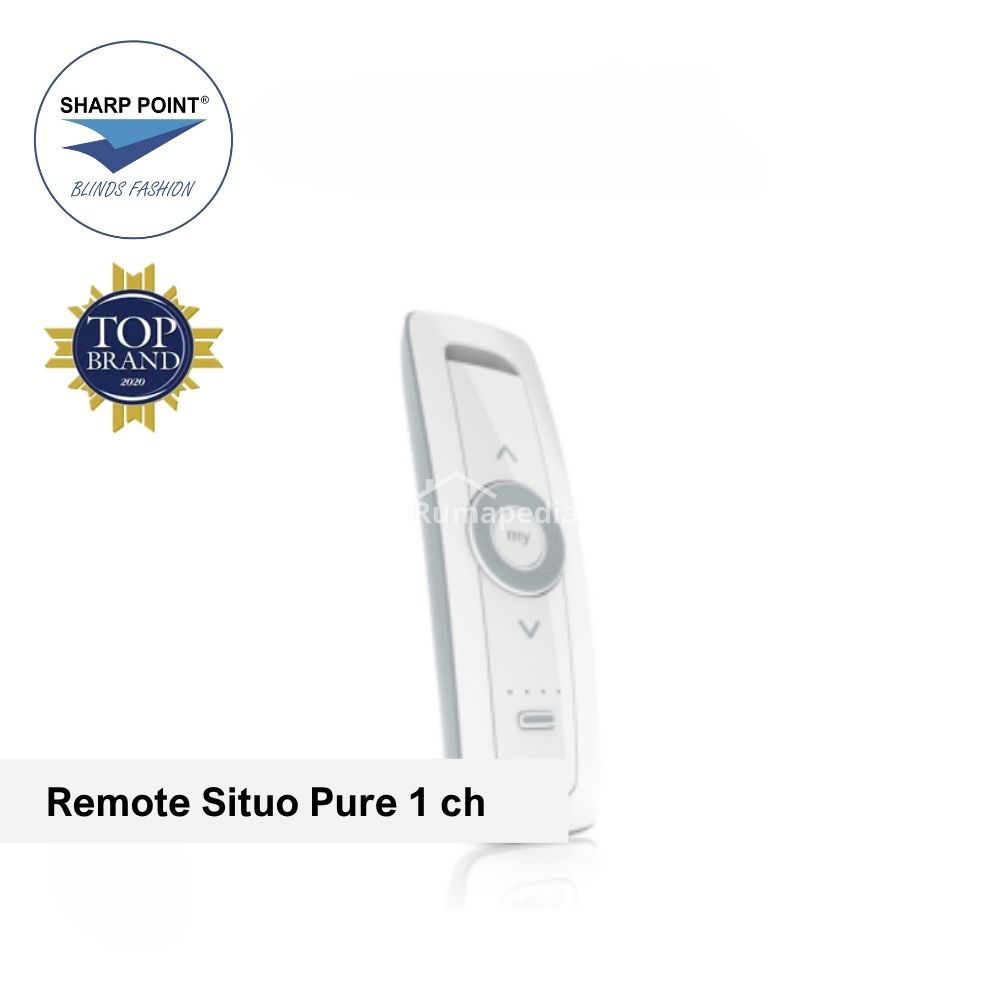 Zero Point Remote large image
